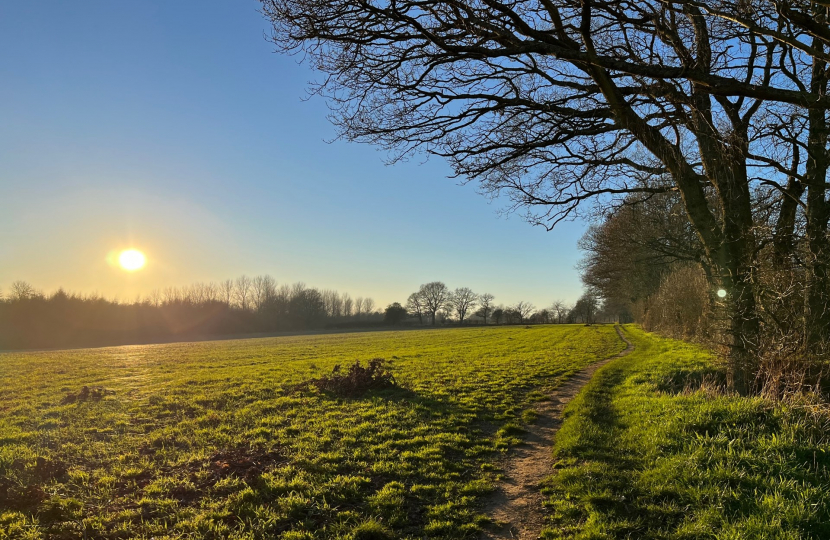 Beautiful fields in cuck-stye proposed development