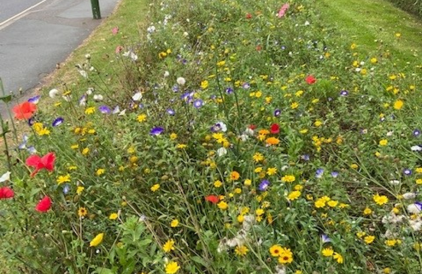 wildlife flowers 