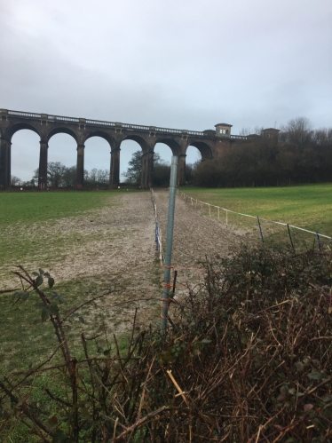 Balcombe Viaduct Success