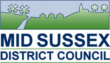 Mid Sussex District COuncil Covid Webinar