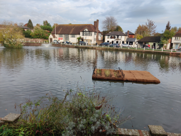 Picturesque picture of Lindfield Village Pond